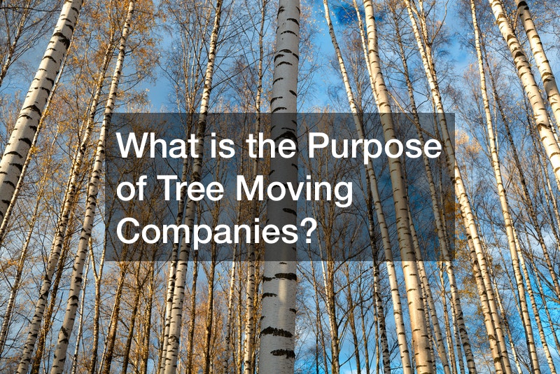 What is the Purpose of Tree Moving Companies?